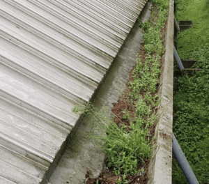 Happy customers in Wellingborough who trust The Roof Moss Cleaners for gutter cleaning services