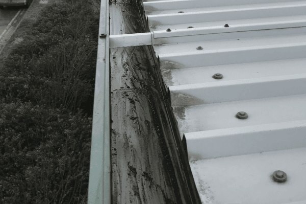 Commercial gutter cleaning specialists in Wellingborough
